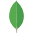 MongoDB icon